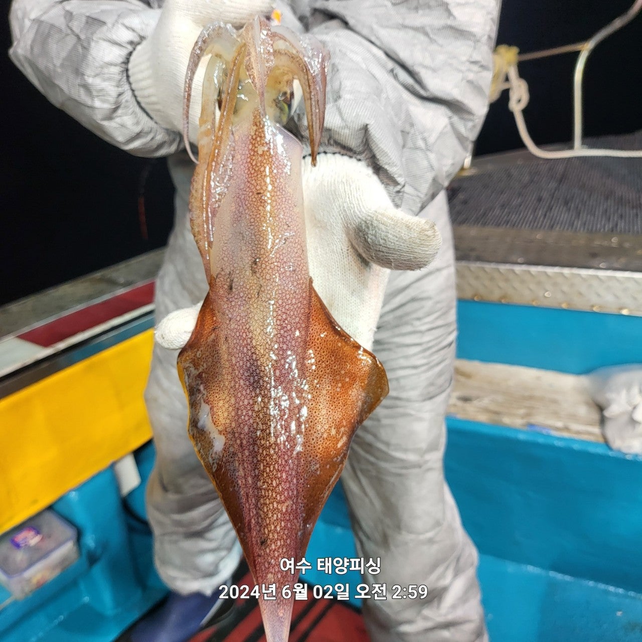 사용자가 올린 이미지