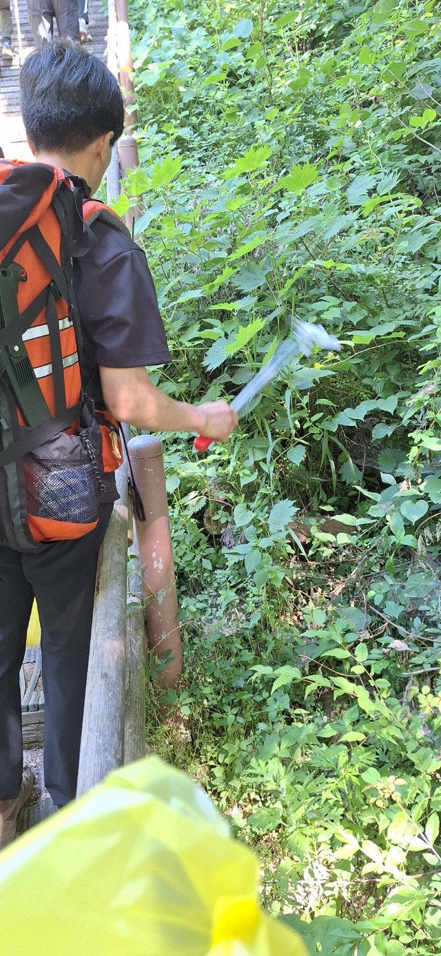 사용자가 올린 이미지