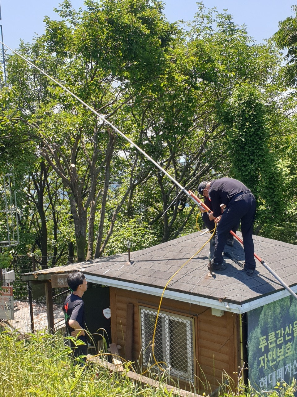 사용자가 올린 이미지