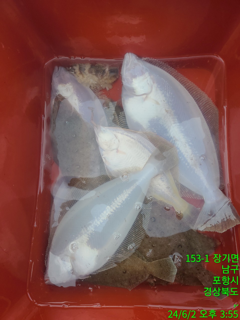 0_00eUd018svcfq880aqf1duf_9bt2m0.jpg