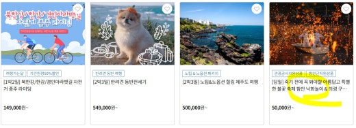 대원여행사 이미지
