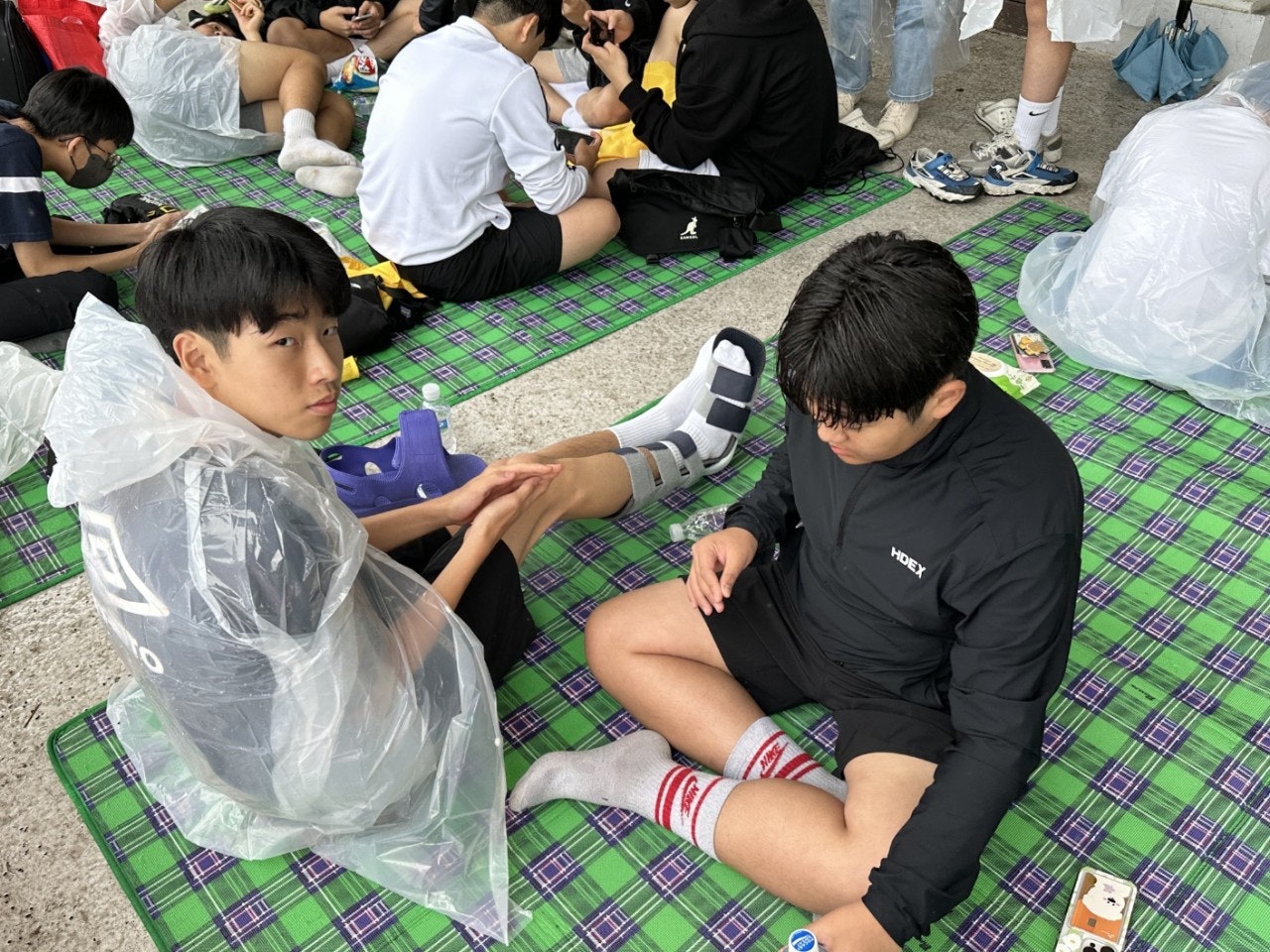 사용자가 올린 이미지