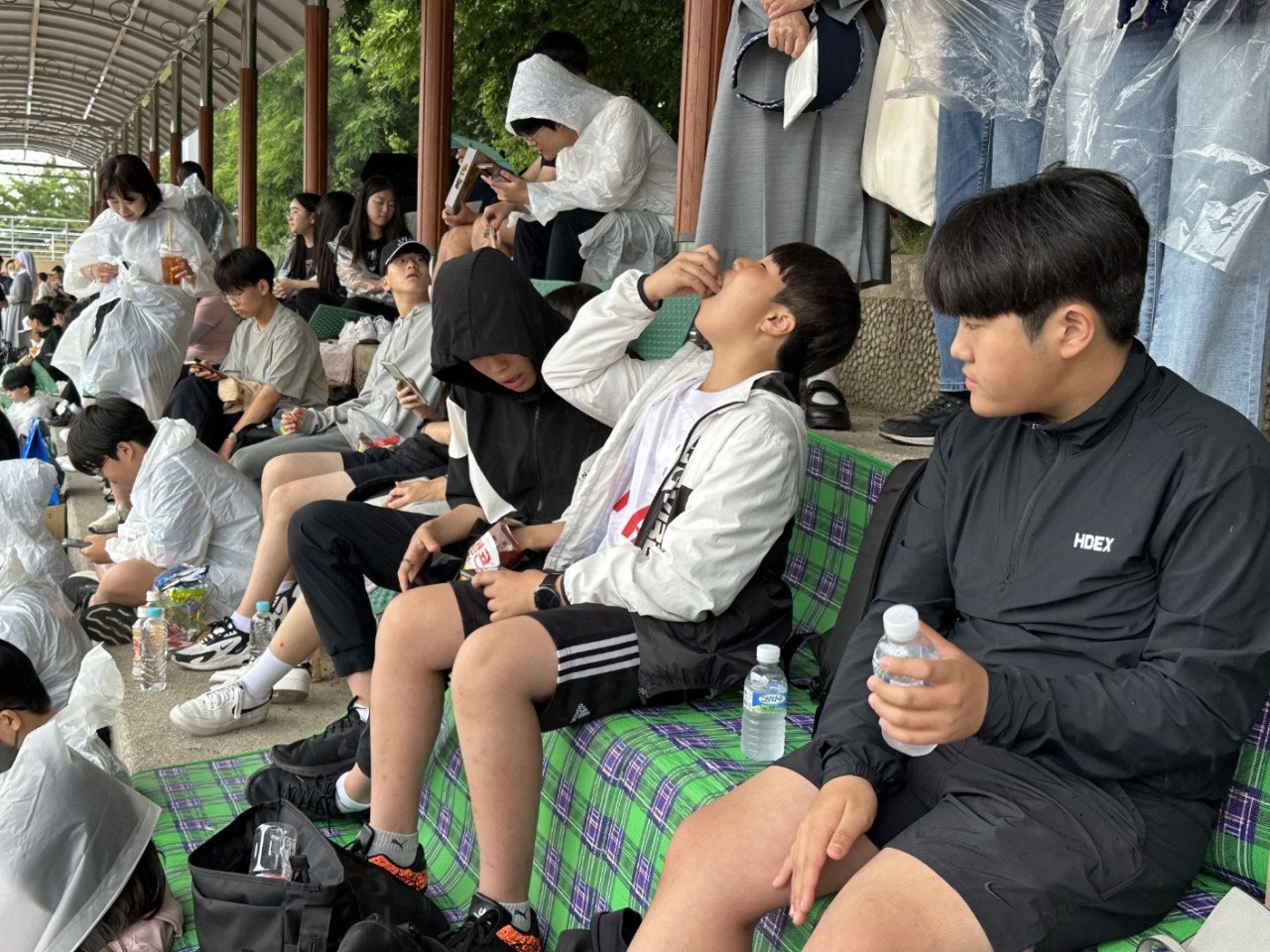 사용자가 올린 이미지