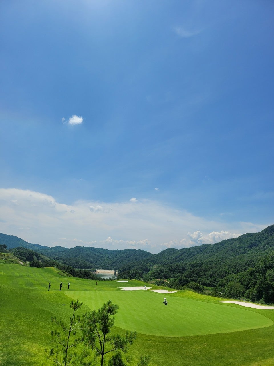 사용자가 올린 이미지