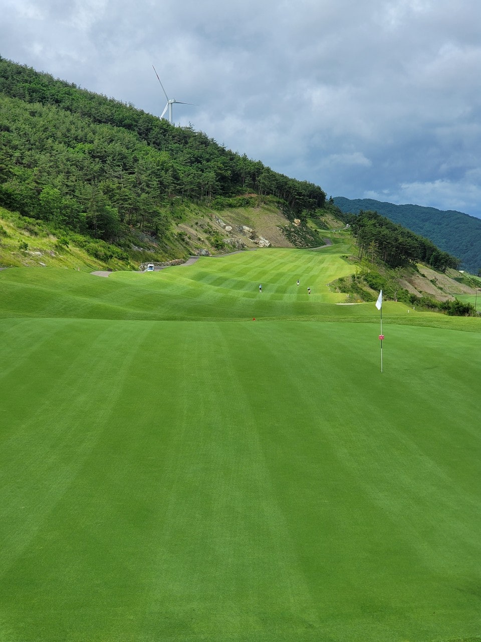 사용자가 올린 이미지