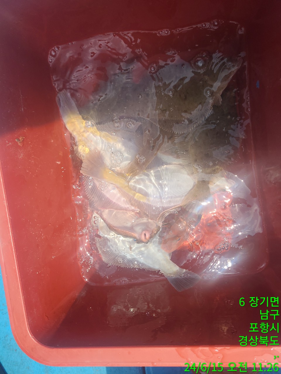 1_06aUd018svc1x6e53qbbkz88_9bt2m0.jpg