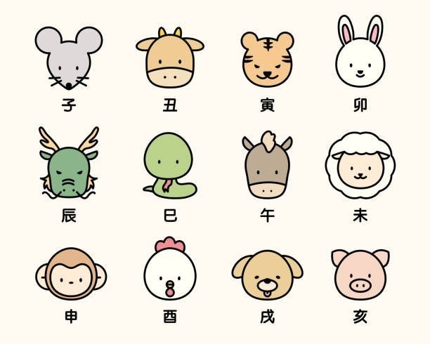 User images