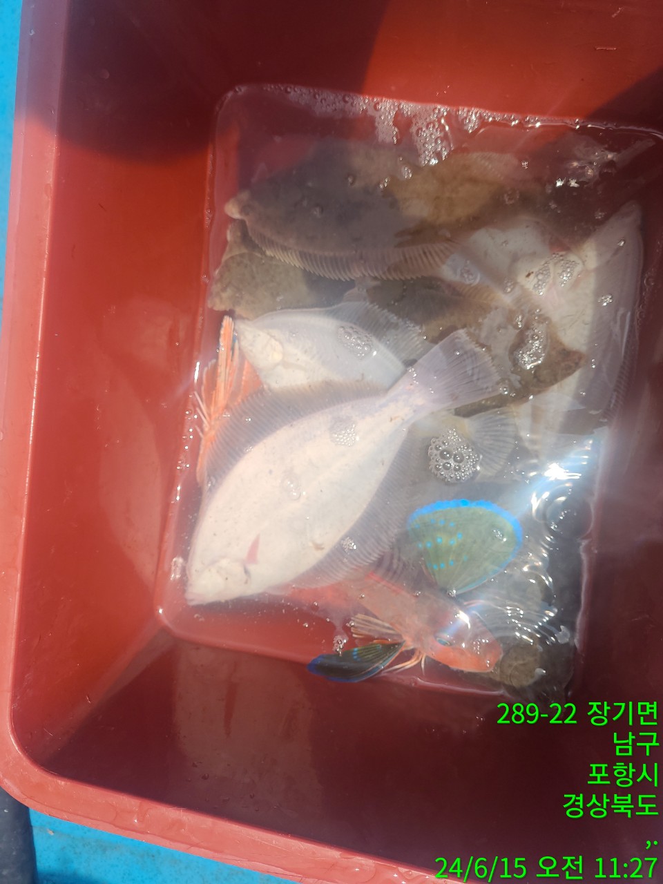 0_g6aUd018svc1kkgub3odebu4_9bt2m0.jpg