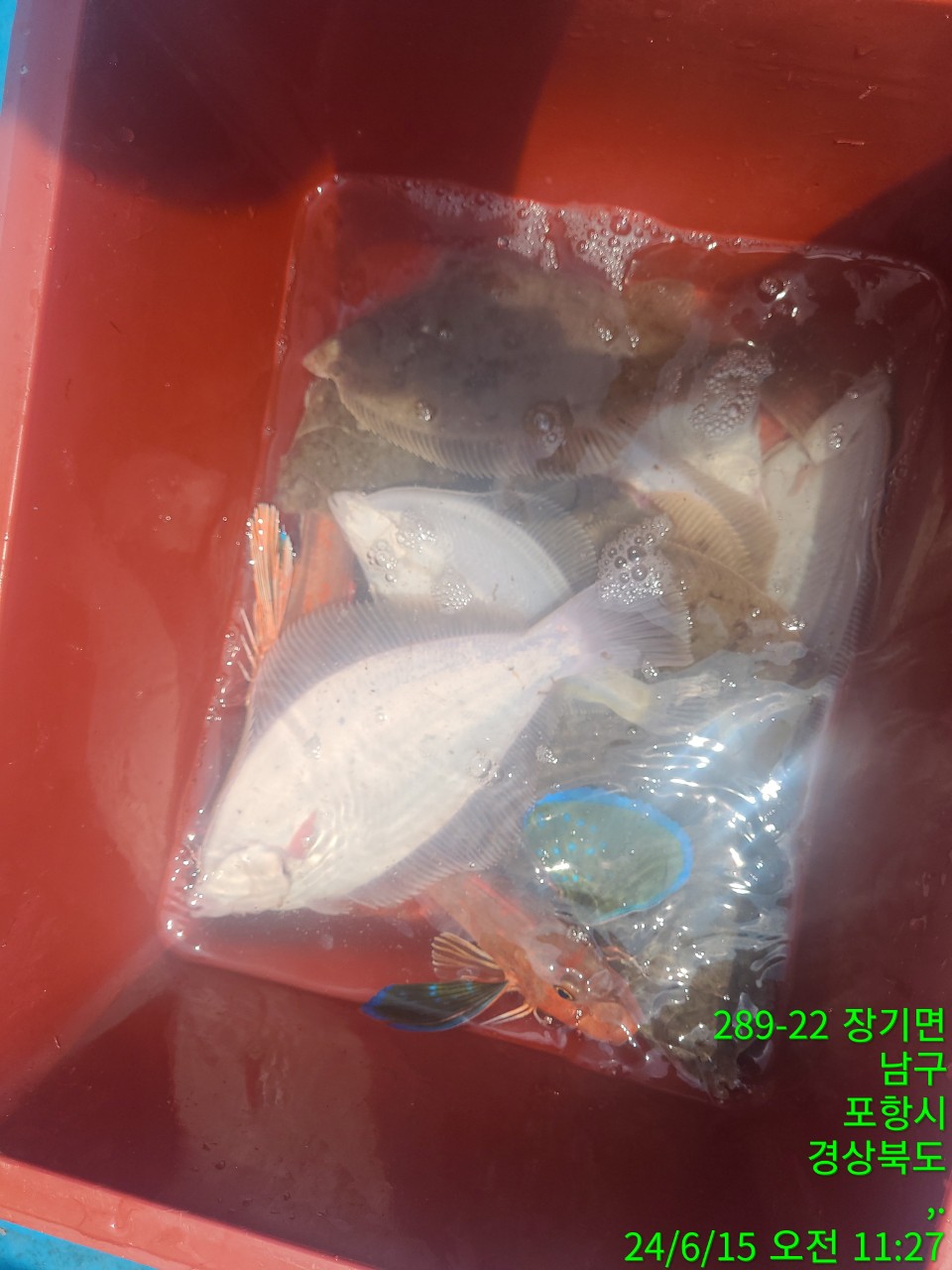 1_76aUd018svc1uw3aejmx5aku_9bt2m0.jpg