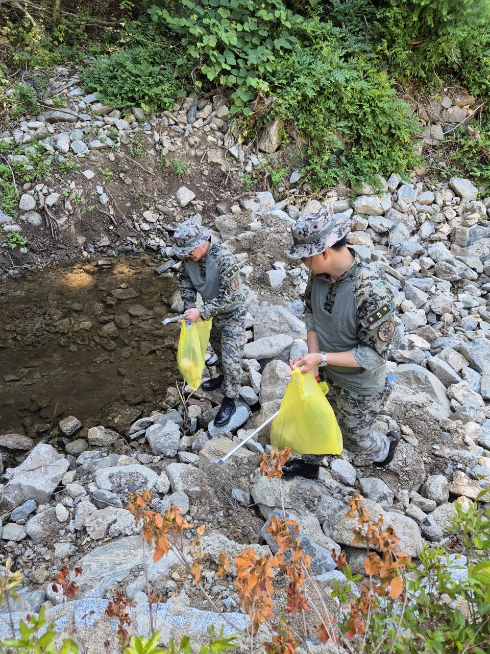 사용자가 올린 이미지
