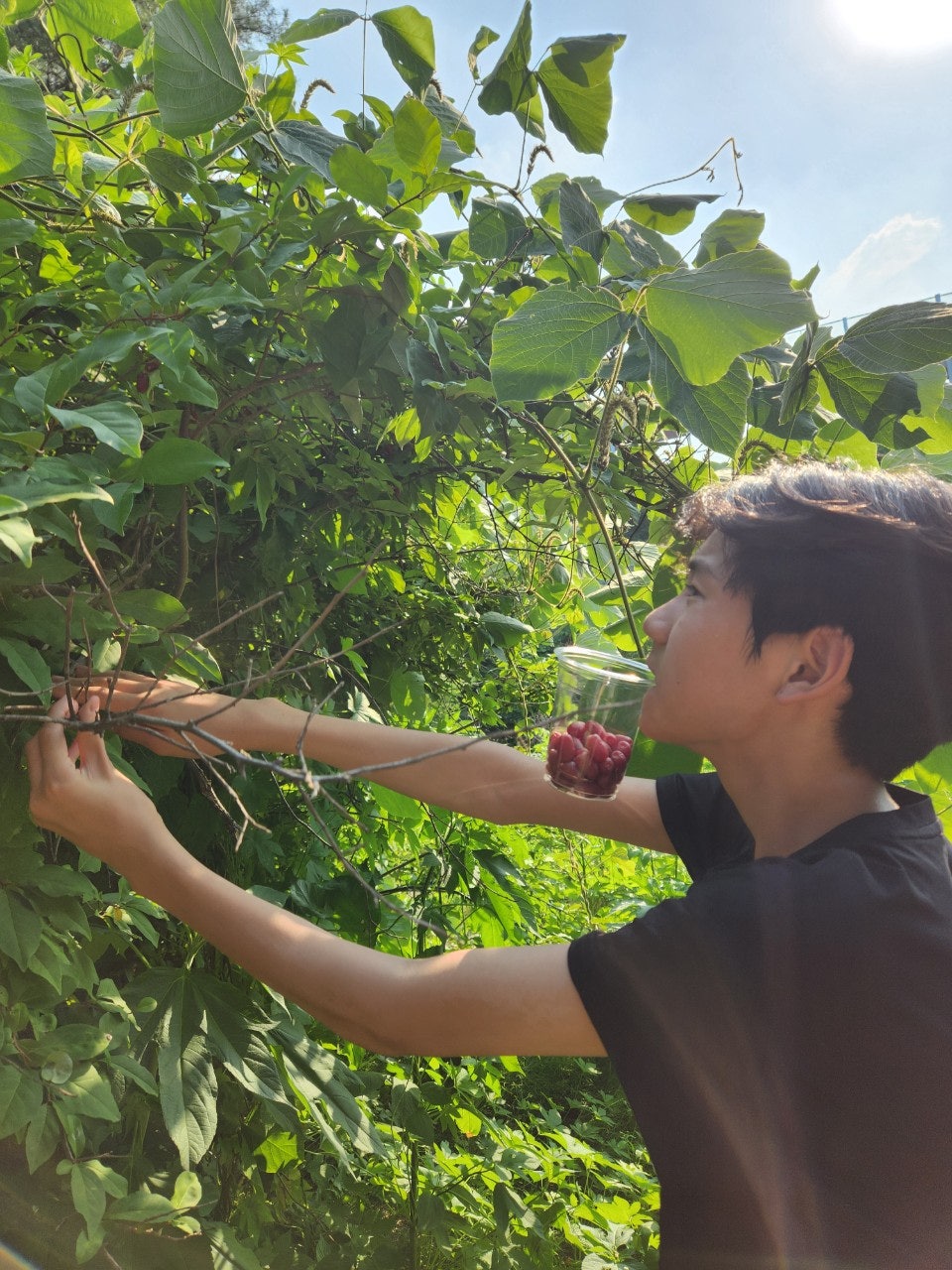 사용자가 올린 이미지