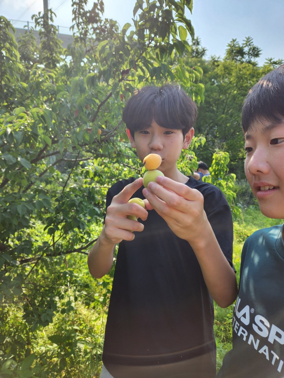 사용자가 올린 이미지