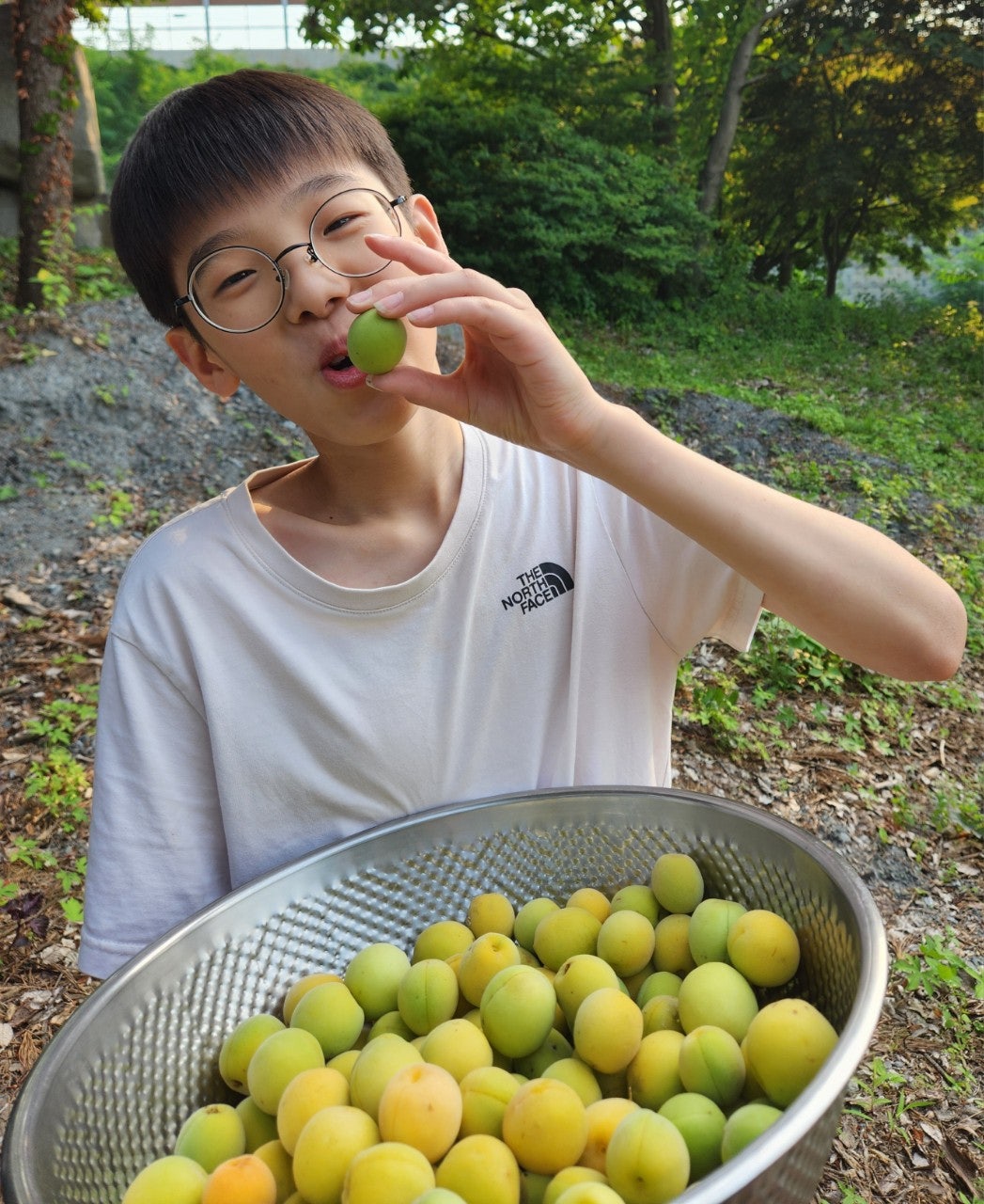 사용자가 올린 이미지