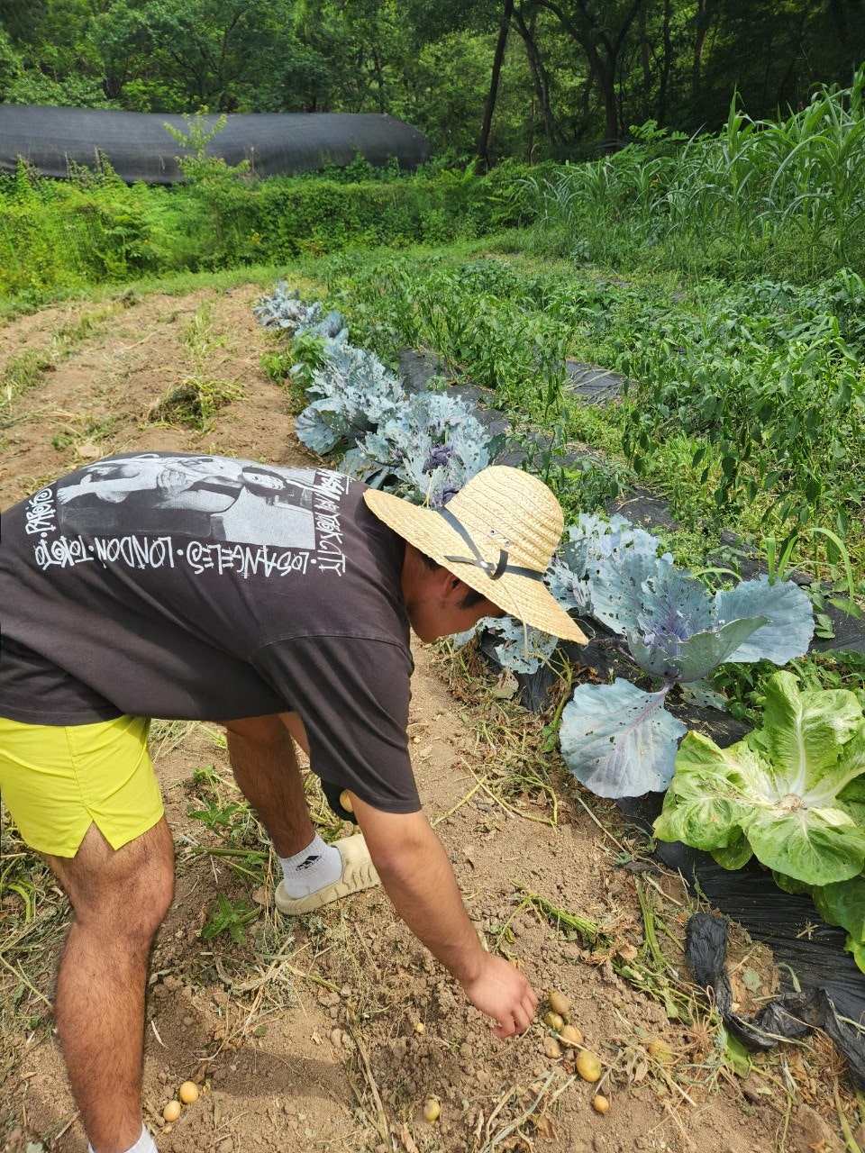 사용자가 올린 이미지