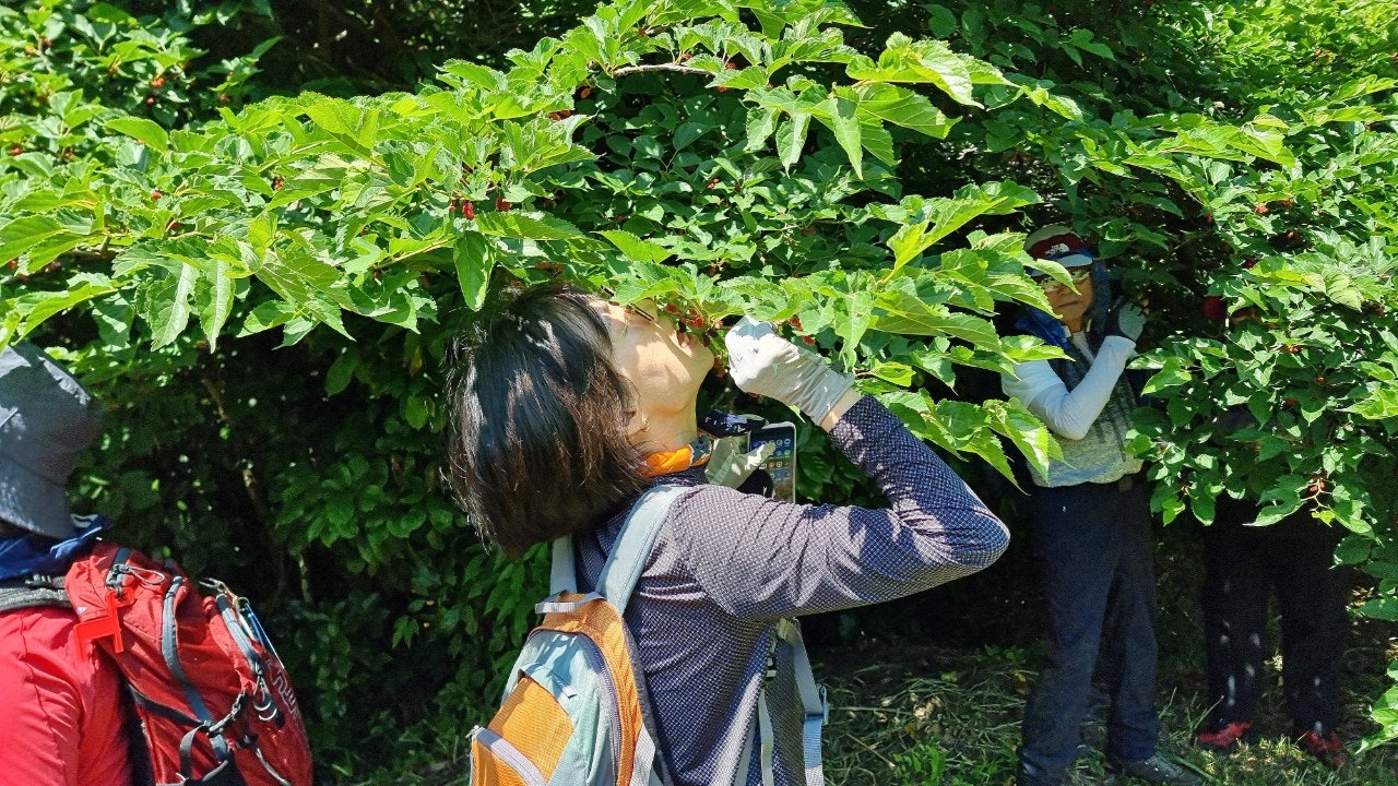 사용자가 올린 이미지