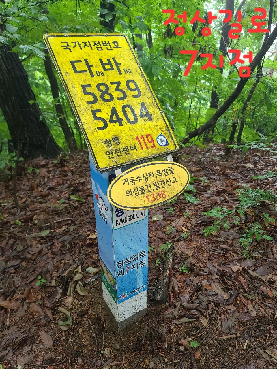 사용자가 올린 이미지