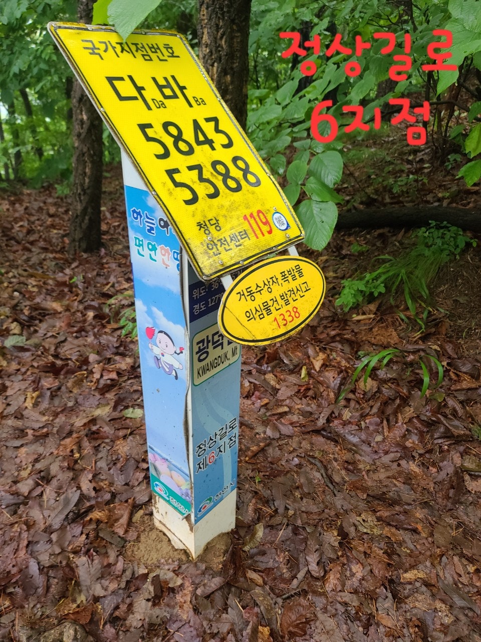 사용자가 올린 이미지