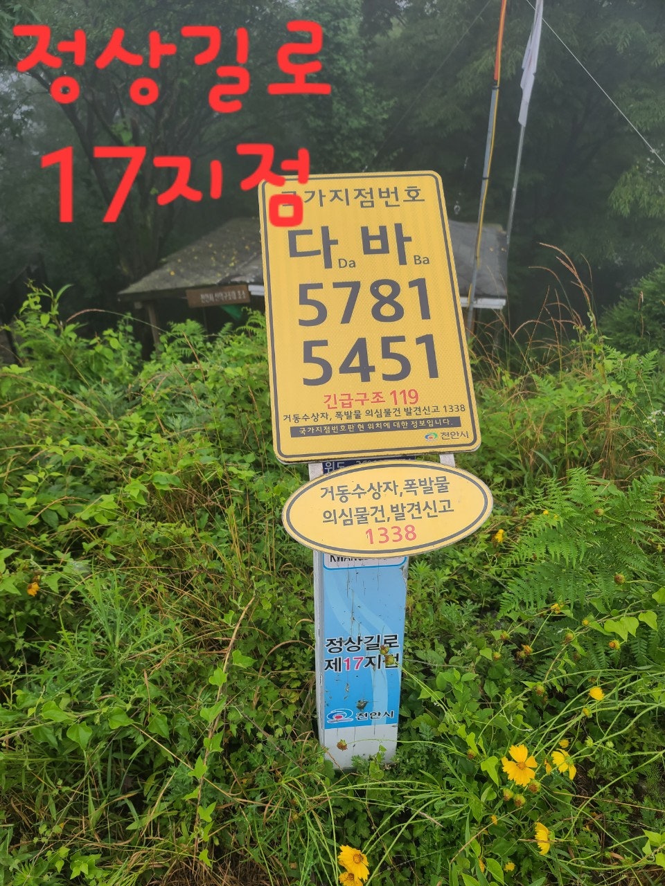 사용자가 올린 이미지