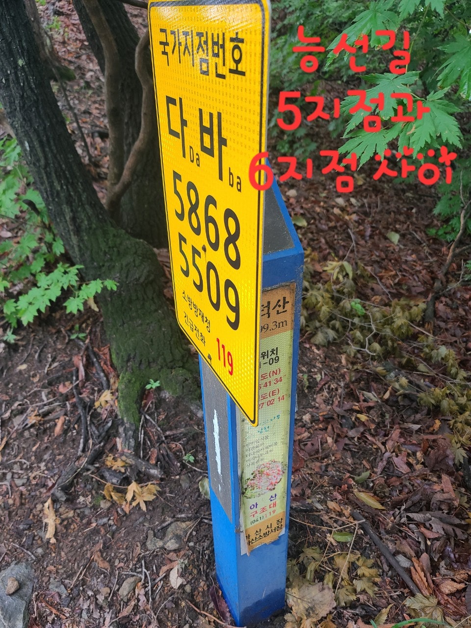 사용자가 올린 이미지