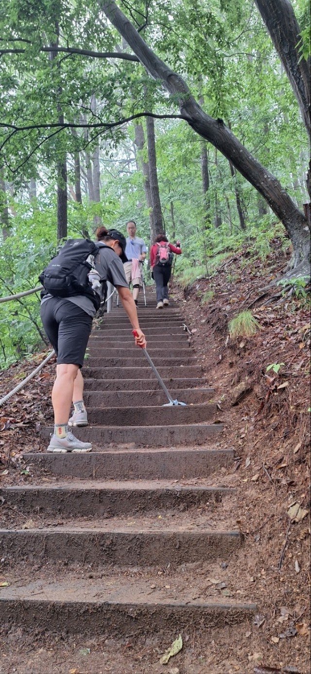 사용자가 올린 이미지