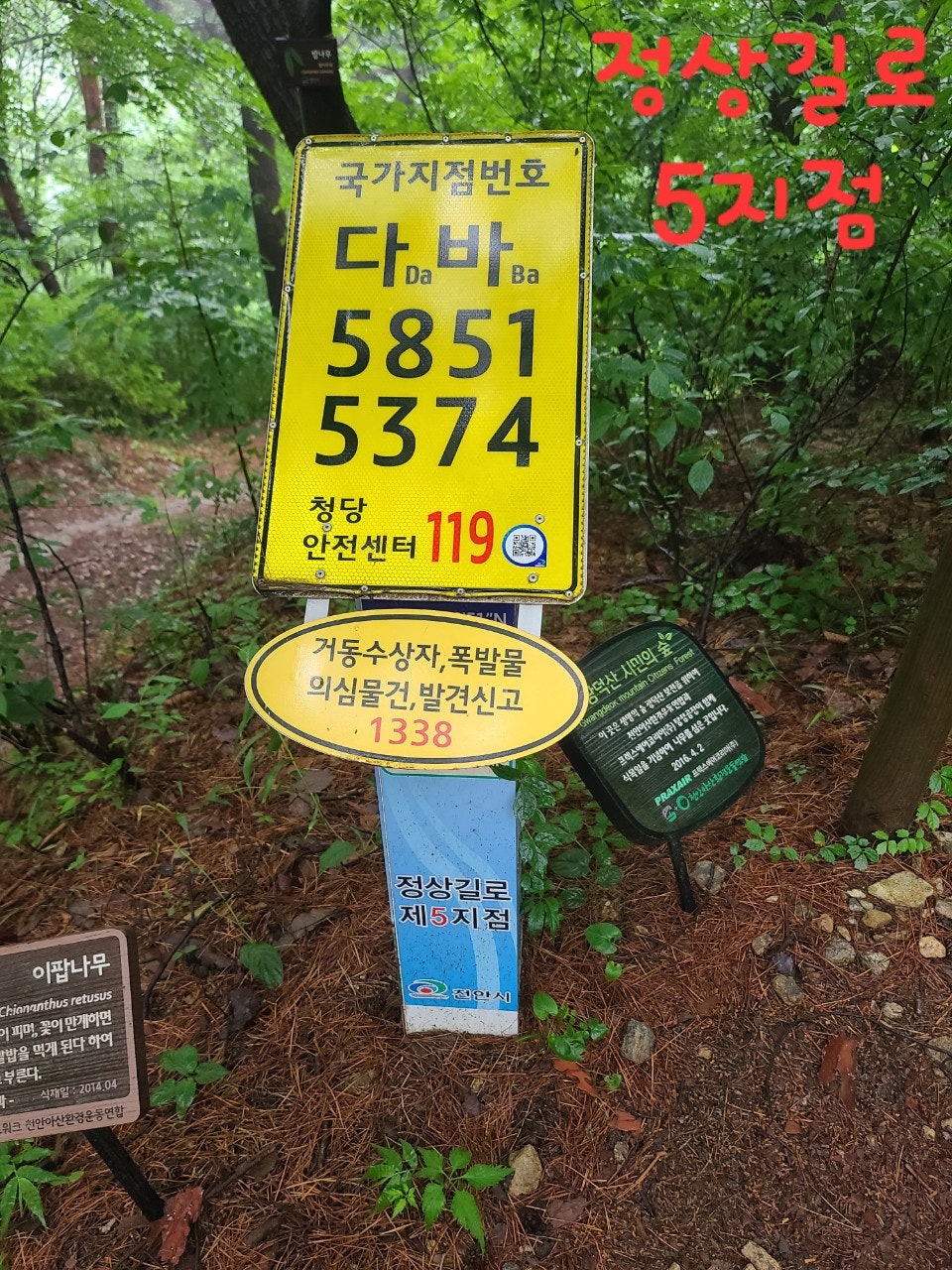 사용자가 올린 이미지