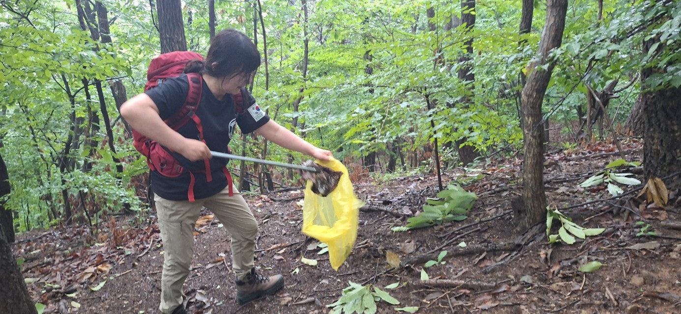 사용자가 올린 이미지