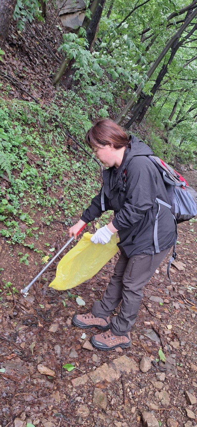 사용자가 올린 이미지