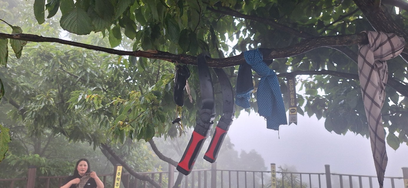 사용자가 올린 이미지