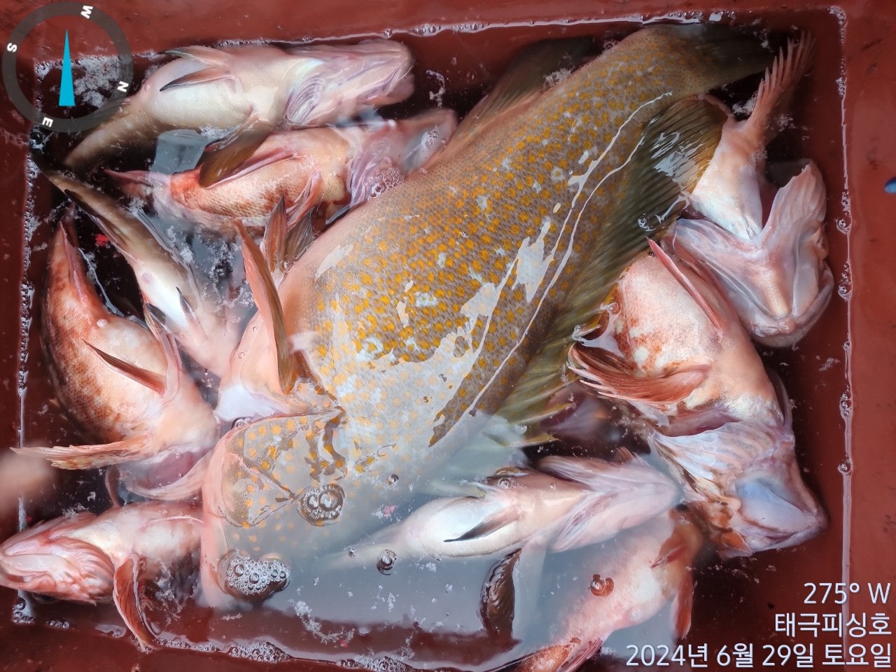 사용자가 올린 이미지