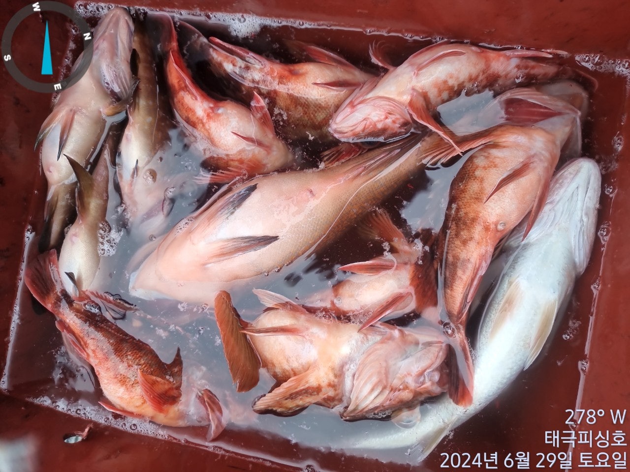 사용자가 올린 이미지