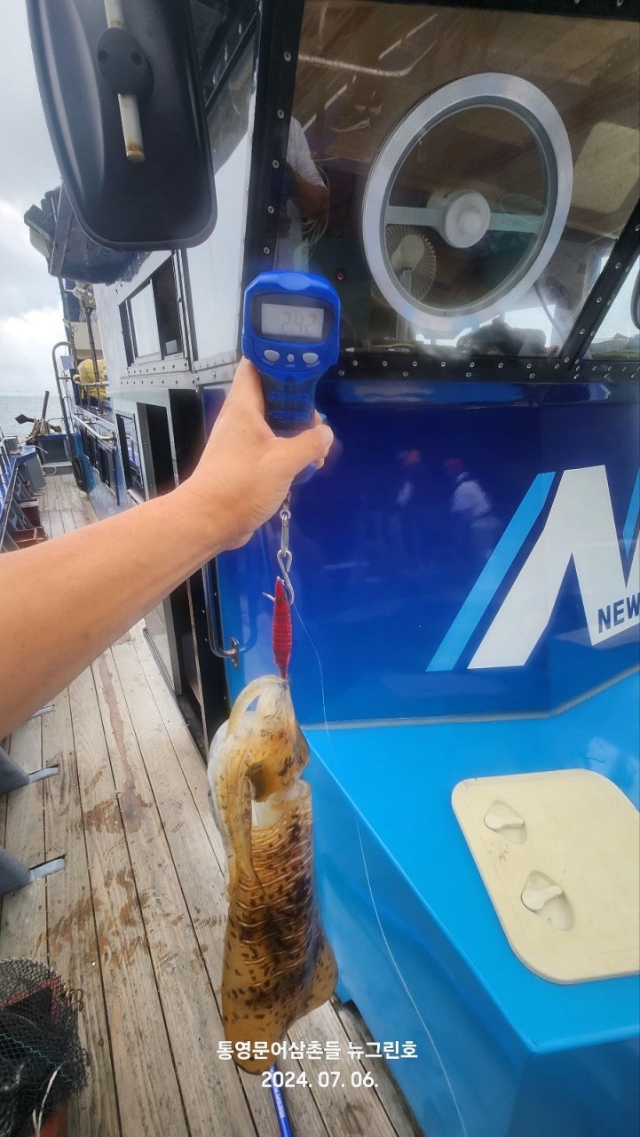 사용자가 올린 이미지