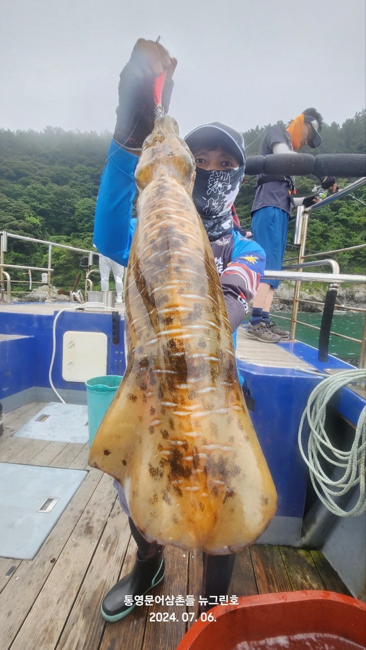 사용자가 올린 이미지