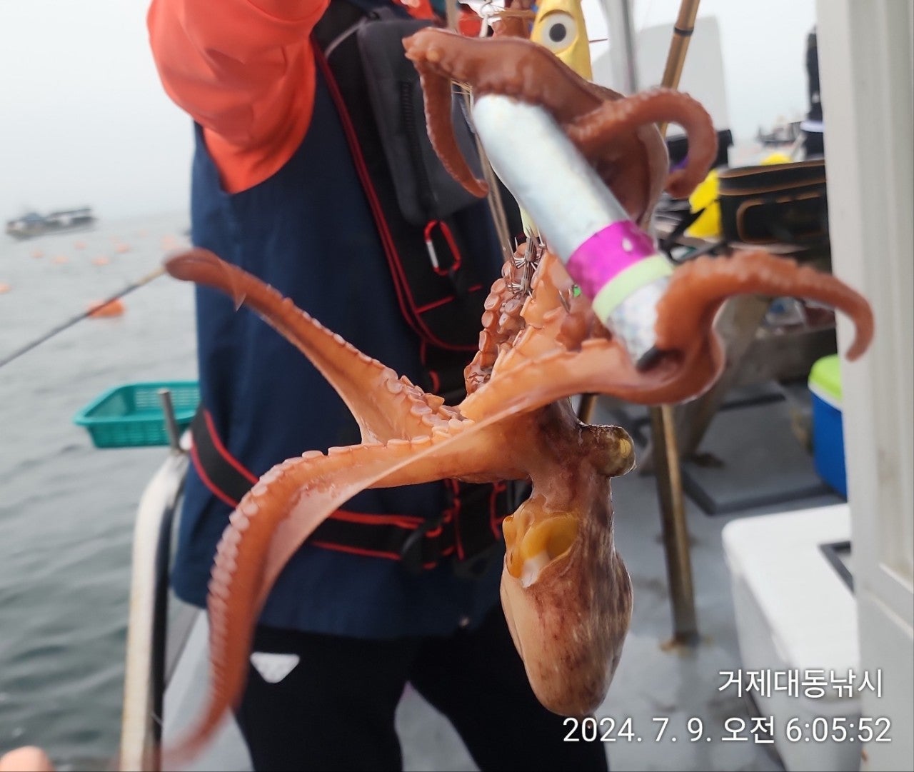 사용자가 올린 이미지