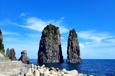 명신관광 이미지