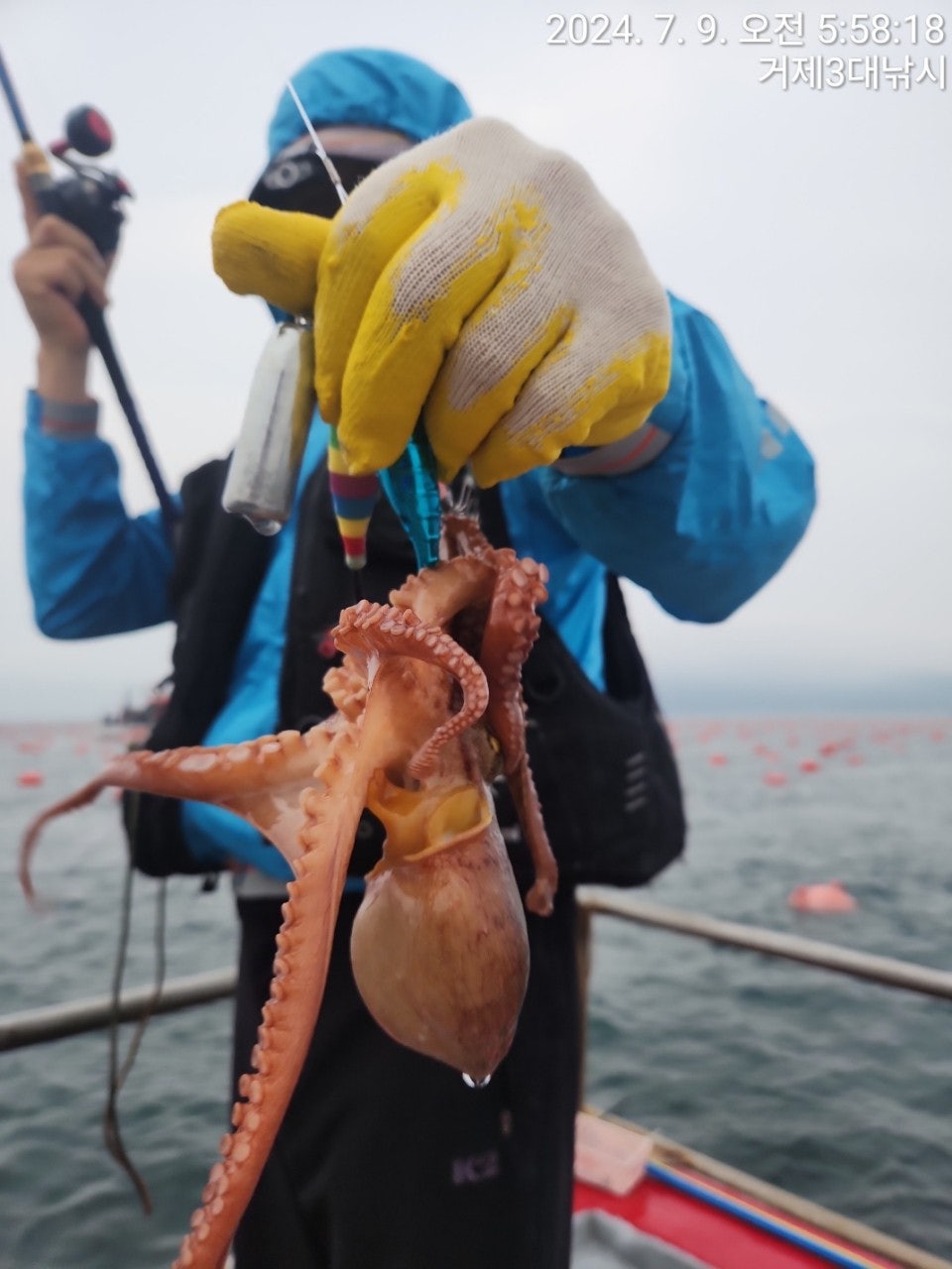 사용자가 올린 이미지