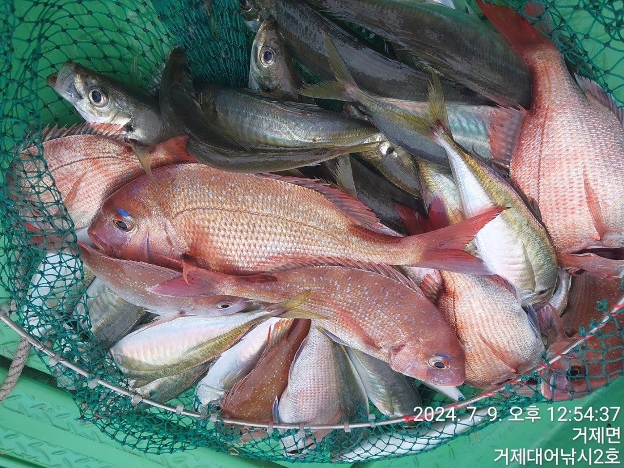 사용자가 올린 이미지