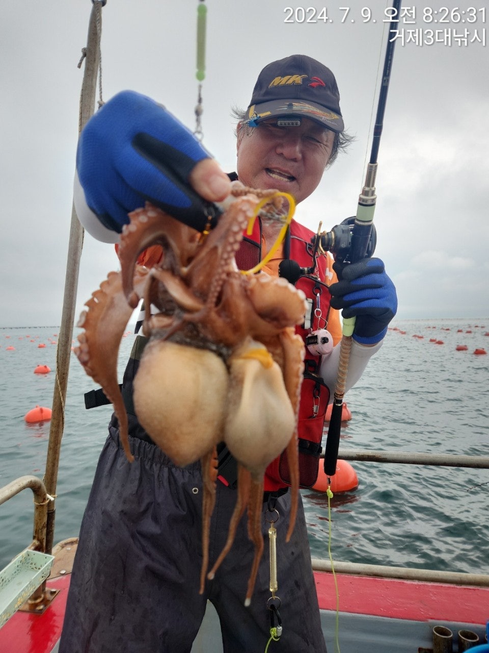 사용자가 올린 이미지