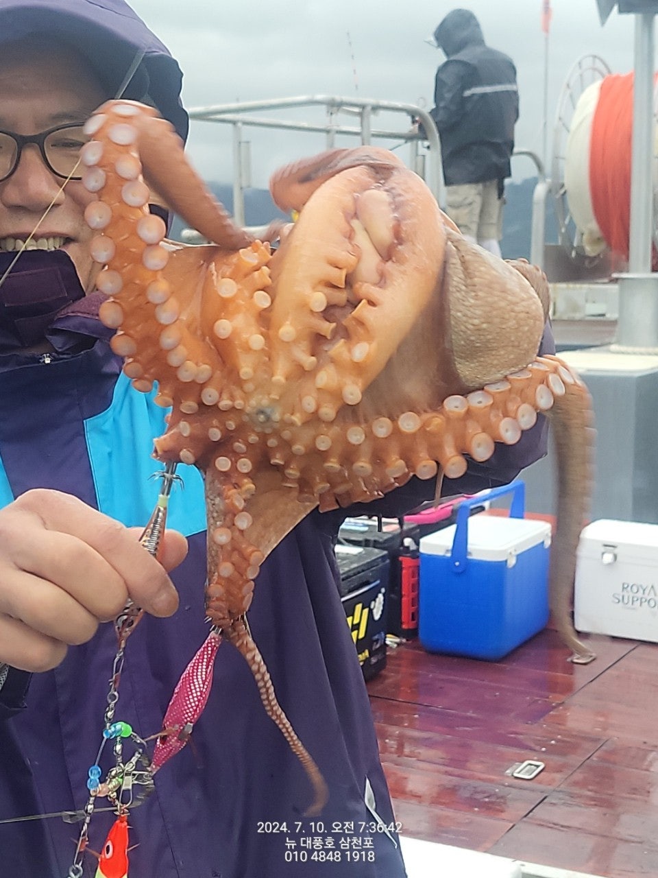 사용자가 올린 이미지