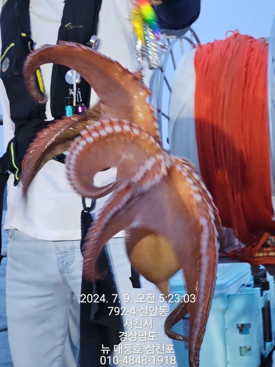 사용자가 올린 이미지