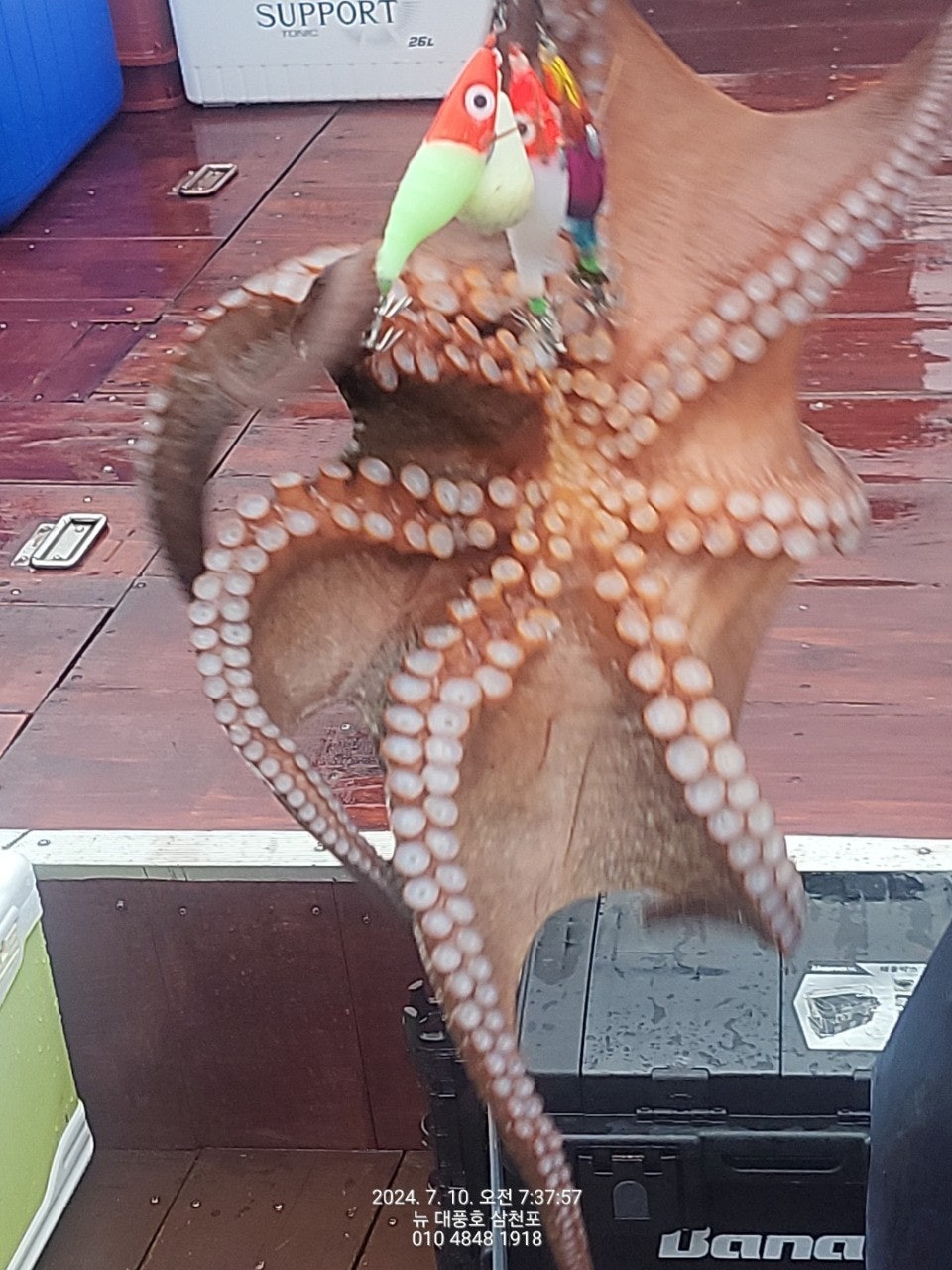 사용자가 올린 이미지