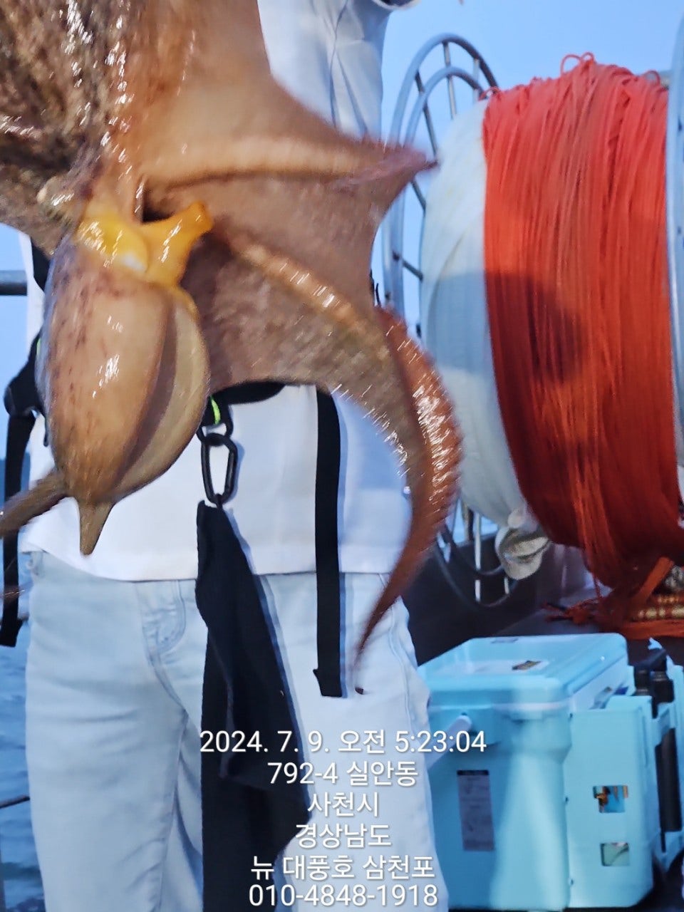 사용자가 올린 이미지