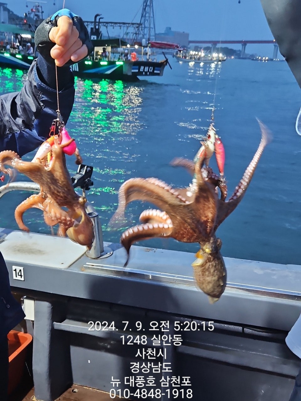 사용자가 올린 이미지