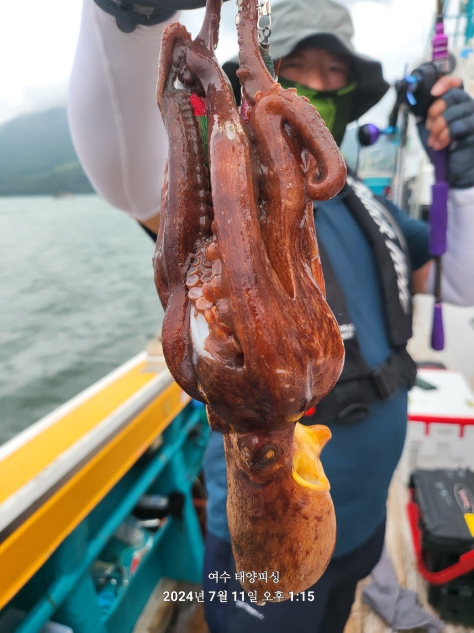 사용자가 올린 이미지