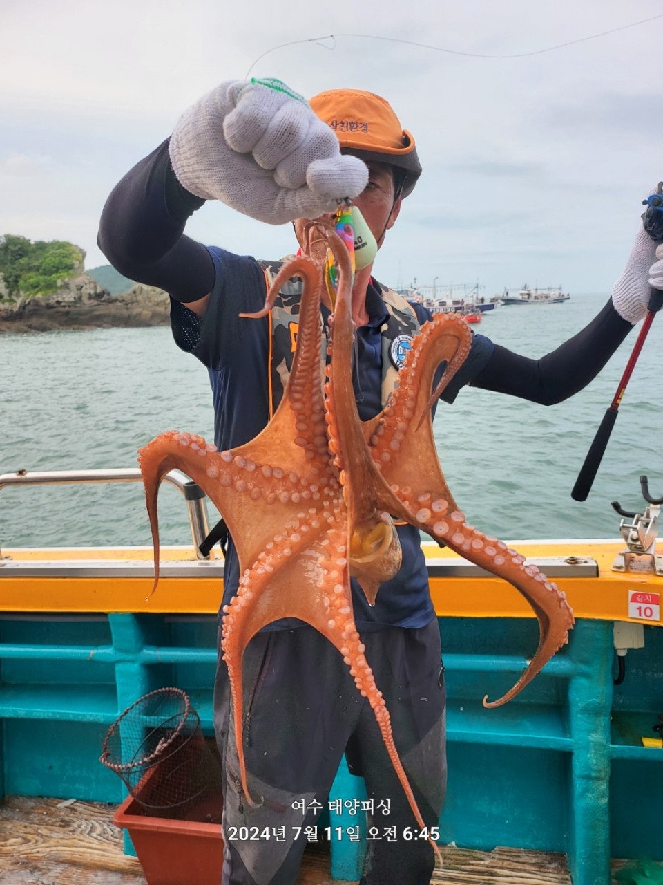 사용자가 올린 이미지