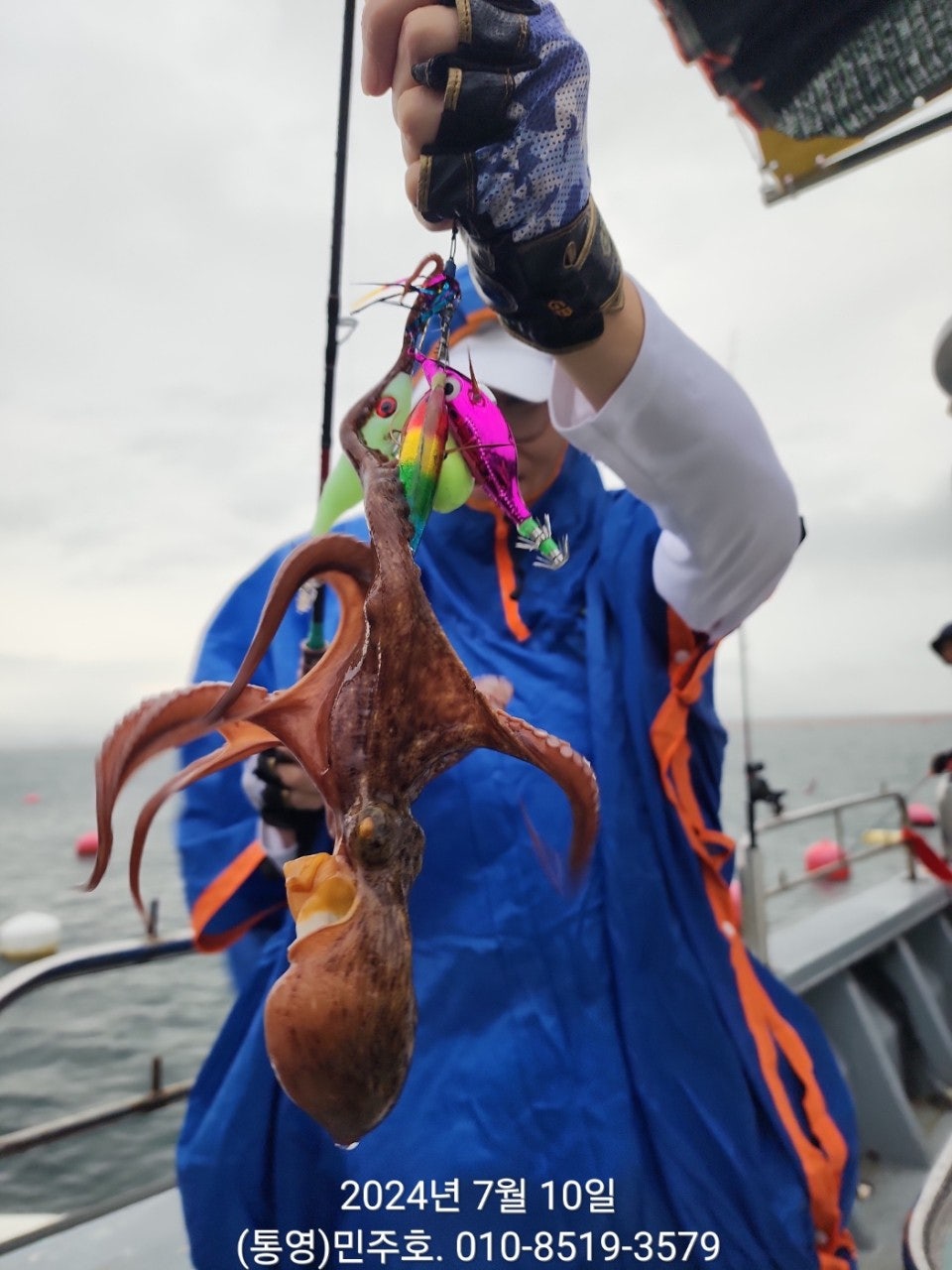 사용자가 올린 이미지