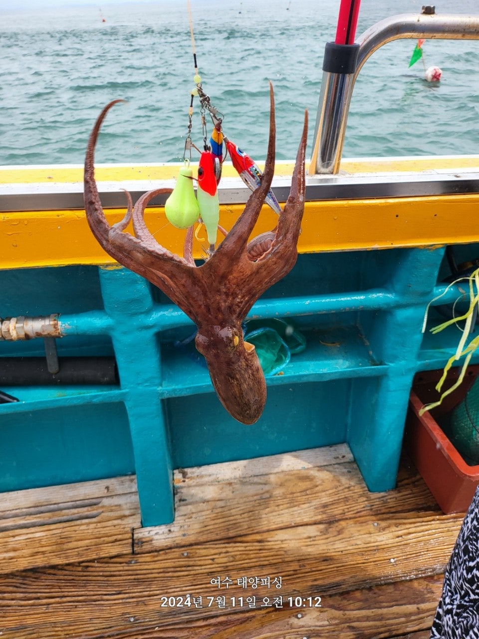 사용자가 올린 이미지