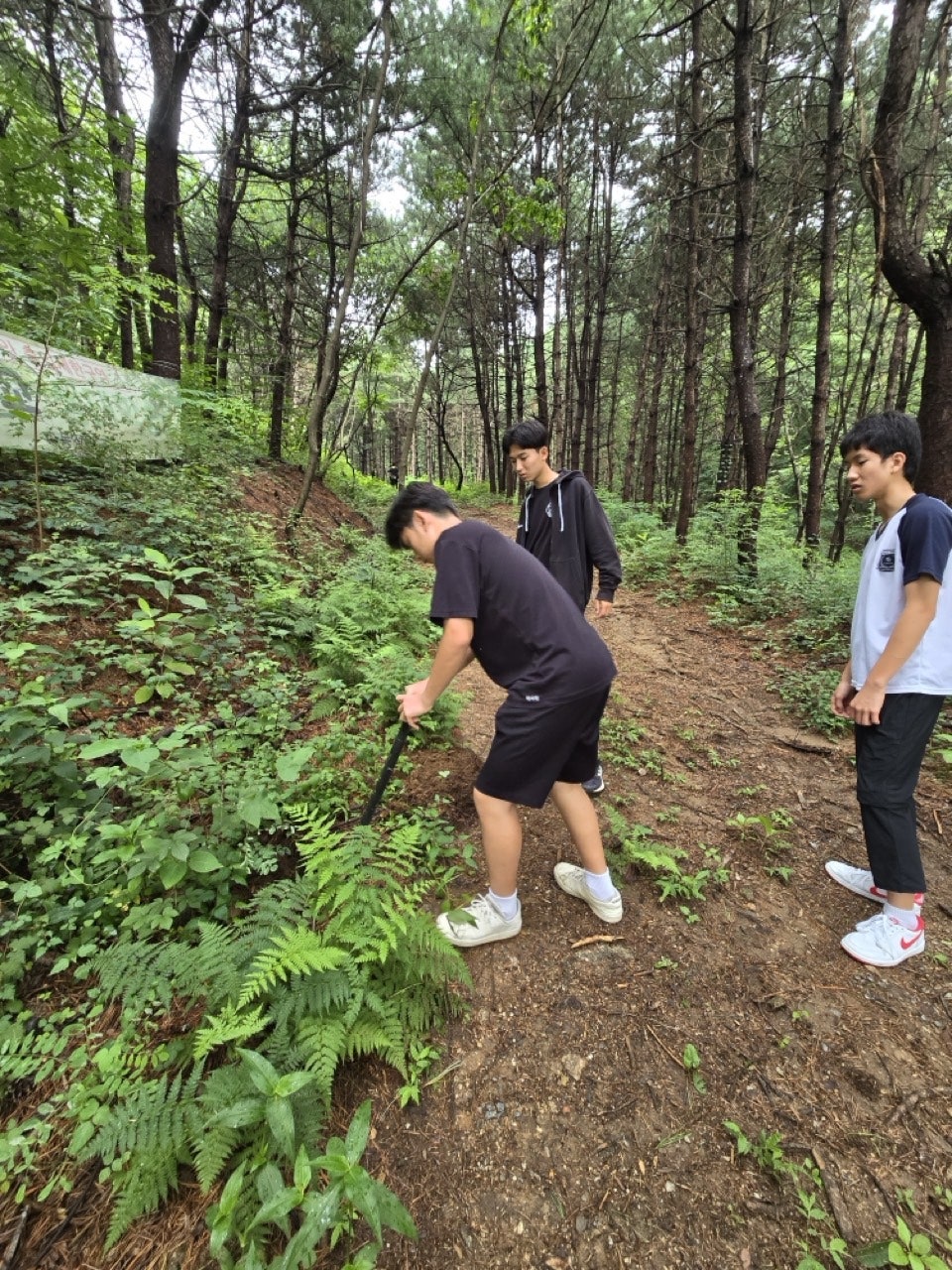 사용자가 올린 이미지