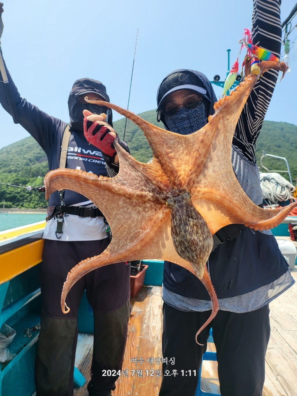 사용자가 올린 이미지