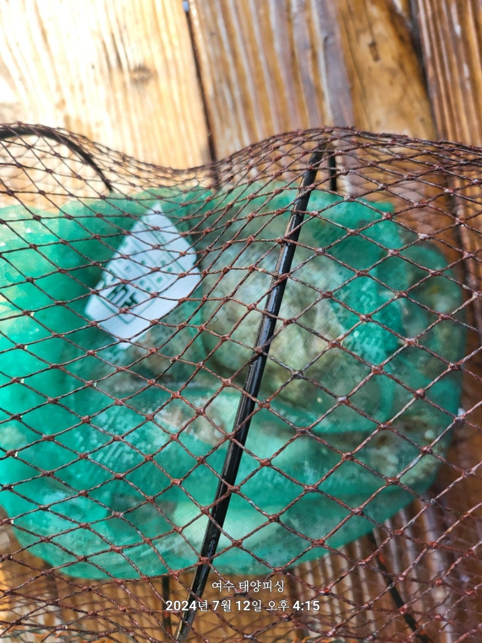 사용자가 올린 이미지