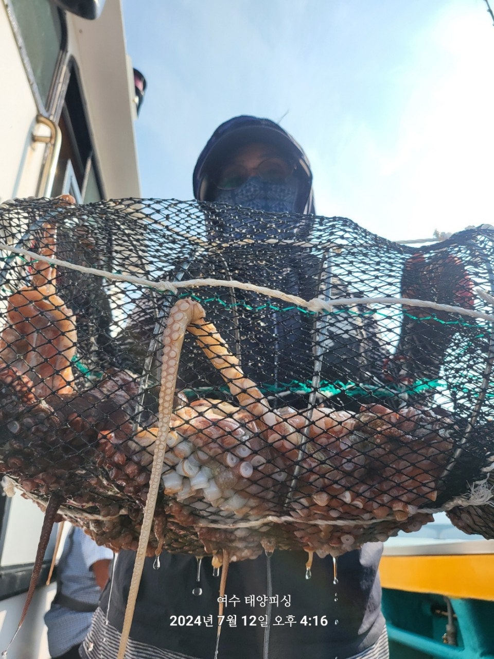 사용자가 올린 이미지